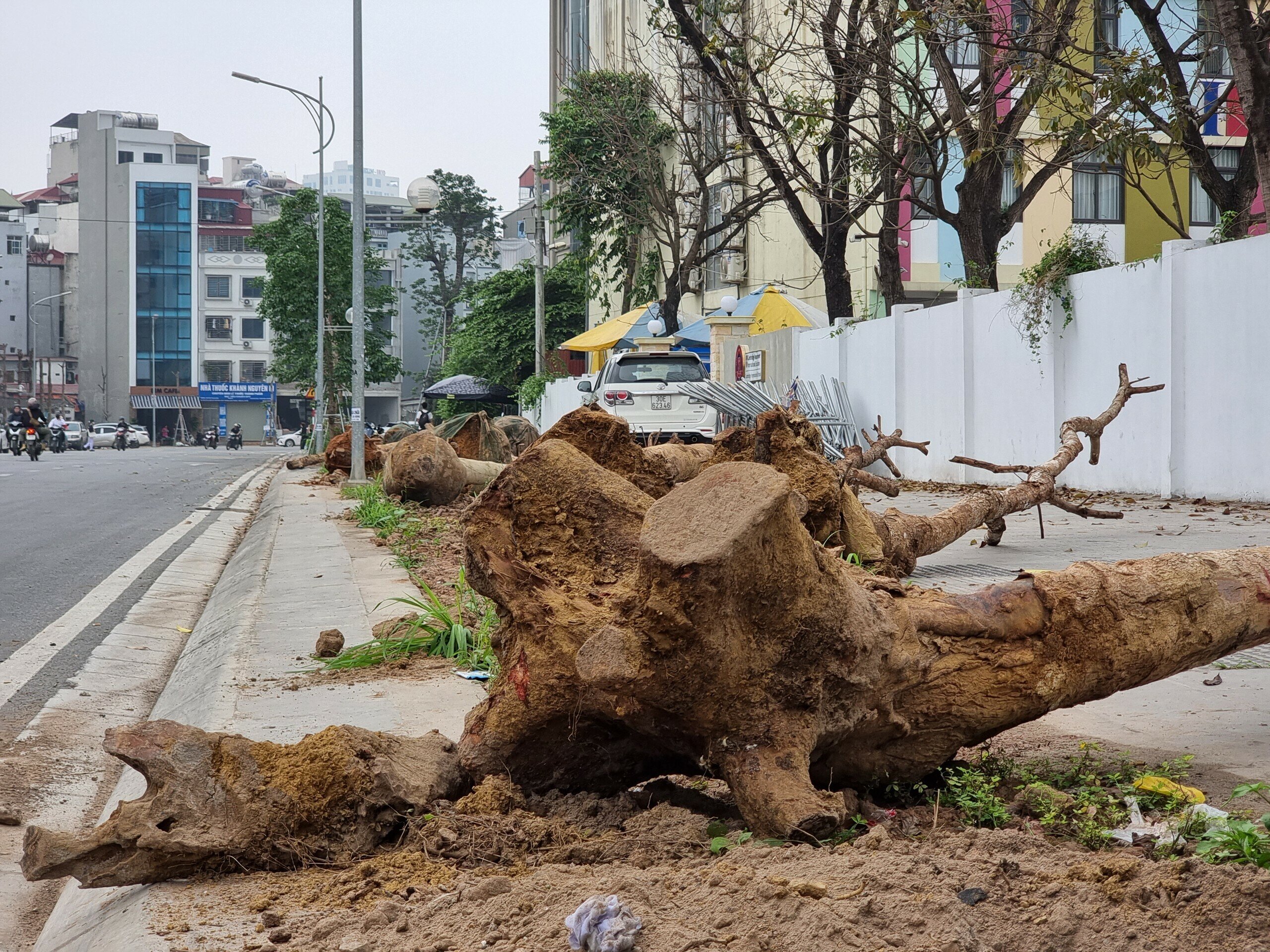 Đ&acirc;y l&agrave; tuyến đường được th&ocirc;ng xe v&agrave;o ng&agrave;y 17/1 vừa qua, c&oacute; tổng mức đầu tư hơn 340 tỷ đồng do UBND quận Đống Đa l&agrave;m chủ đầu tư. H&agrave;ng c&acirc;y xanh 2 b&ecirc;n đường với số lượng 264 c&acirc;y được đầu tư đồng bộ c&ugrave;ng với c&aacute;c hạng mục kh&aacute;c của con đường.