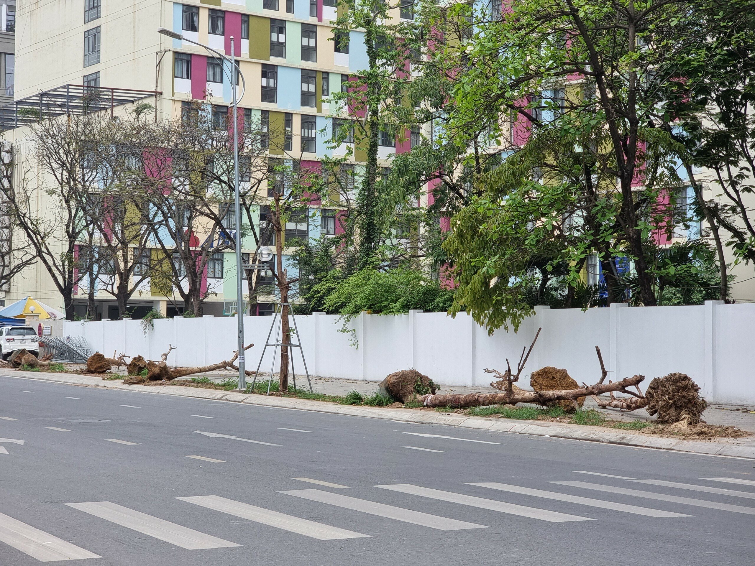 Hạng mục c&acirc;y xanh tr&ecirc;n tuyến đường n&agrave;y c&oacute; trị gi&aacute; khoảng 2,5 tỷ đồng, do nh&agrave; thầu thi c&ocirc;ng l&agrave; li&ecirc;n danh C&ocirc;ng ty đường bộ Ph&uacute; Thọ v&agrave; C&ocirc;ng ty cổ phần đầu tư DCC H&agrave; Nội thực hiện.