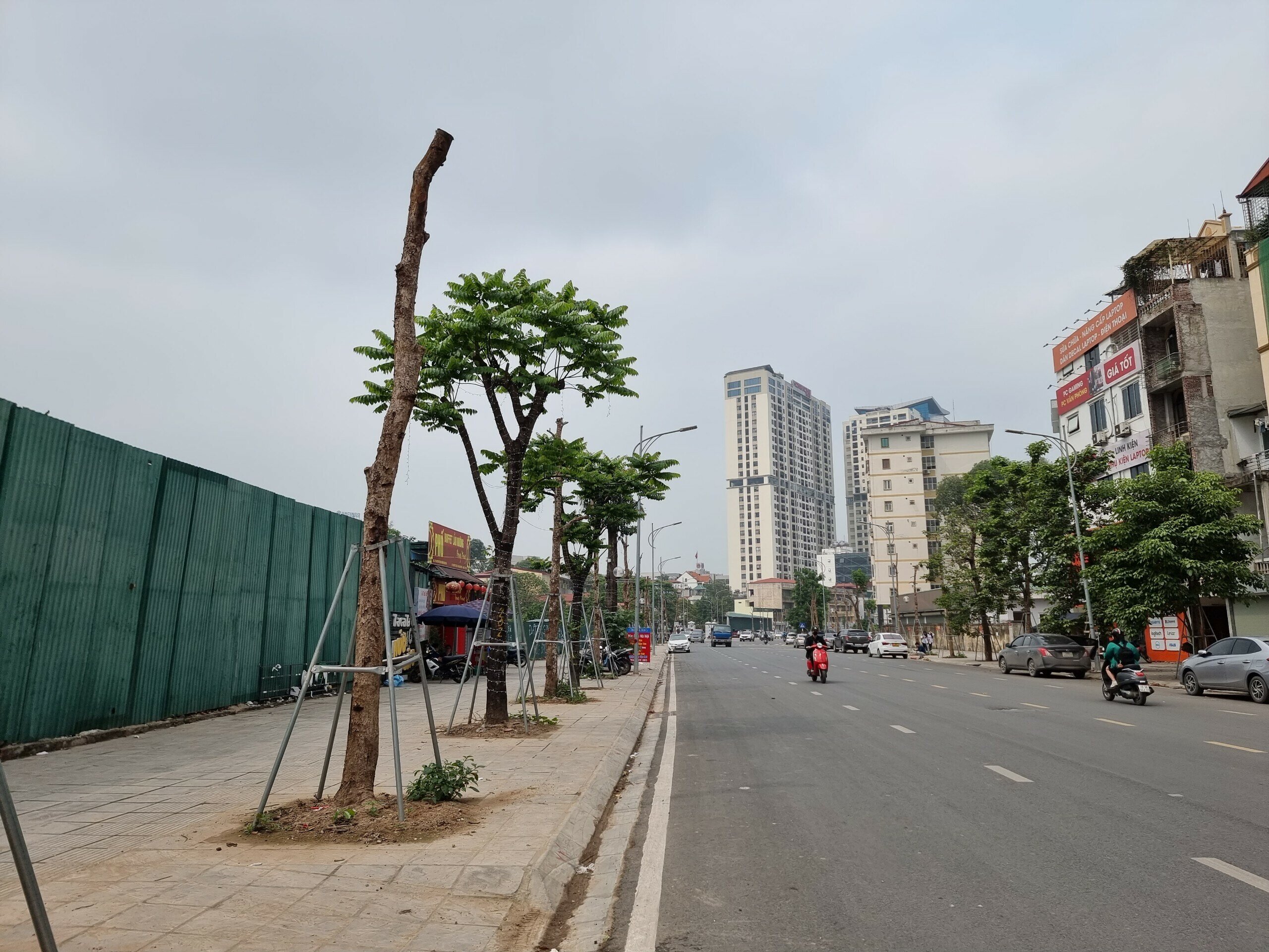 Ghi nhận của PV cho thấy, trong h&ocirc;m nay c&oacute; khoảng 40 đến 50 c&acirc;y chết kh&ocirc; tại đường Huỳnh Th&uacute;c Kh&aacute;ng k&eacute;o d&agrave;i được nhổ bỏ.