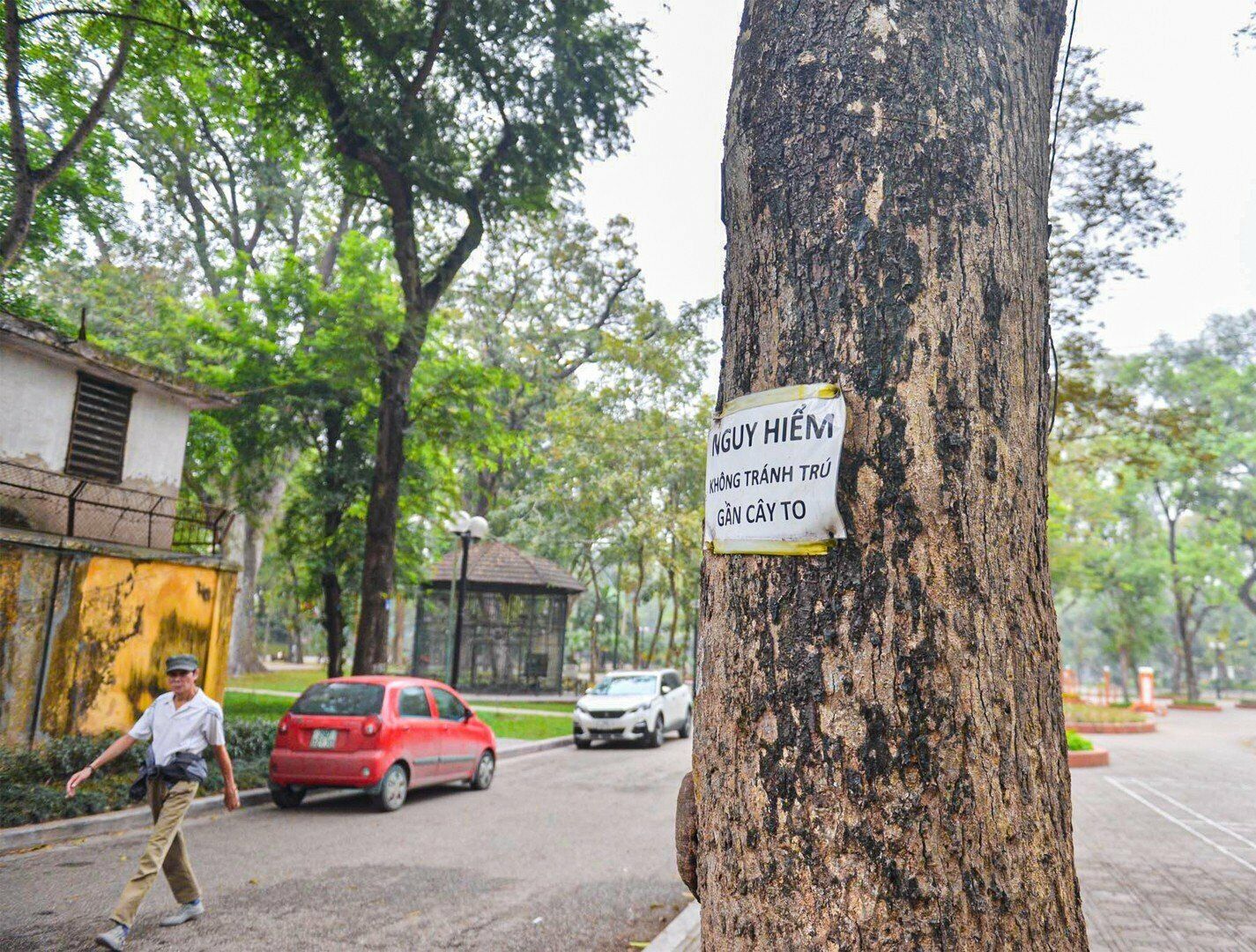 C&ocirc;ng vi&ecirc;n B&aacute;ch Thảo (nằm tr&ecirc;n địa b&agrave;n quận Ba Đ&igrave;nh) được x&acirc;y dựng từ năm 1890 với mục đ&iacute;ch duy tr&igrave;, bảo tồn v&agrave; ph&aacute;t triển c&aacute;c nguồn c&acirc;y qu&yacute; của Việt Nam