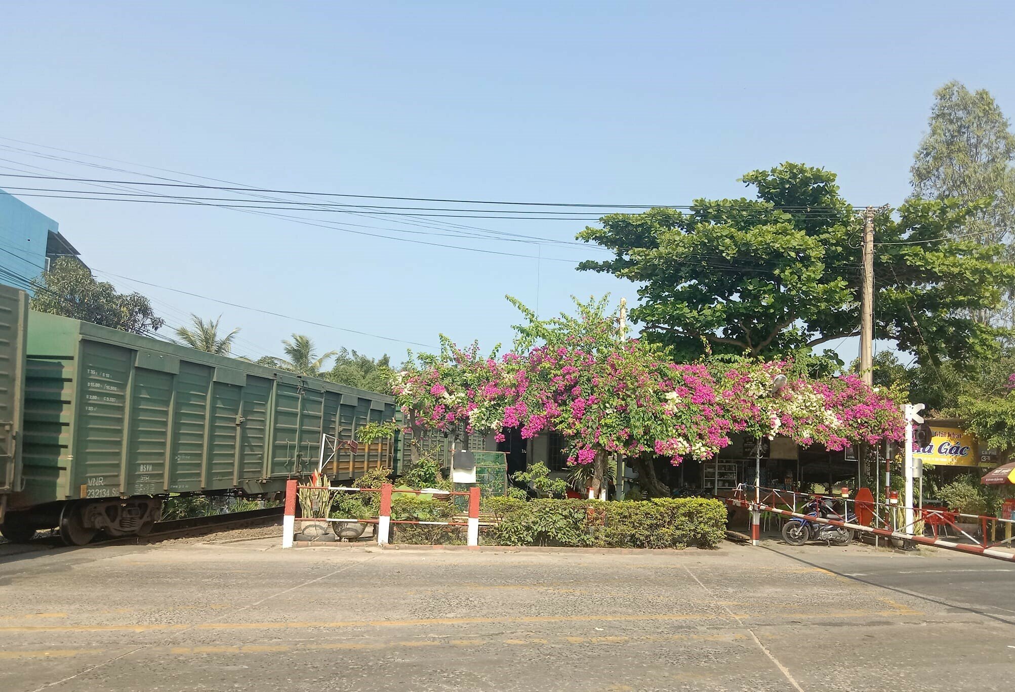 Tại c&aacute;c trạm chắn đường ngang cũng trồng hoa, d&agrave;n hoa tạo b&oacute;ng m&aacute;t, cảnh quan đẹp