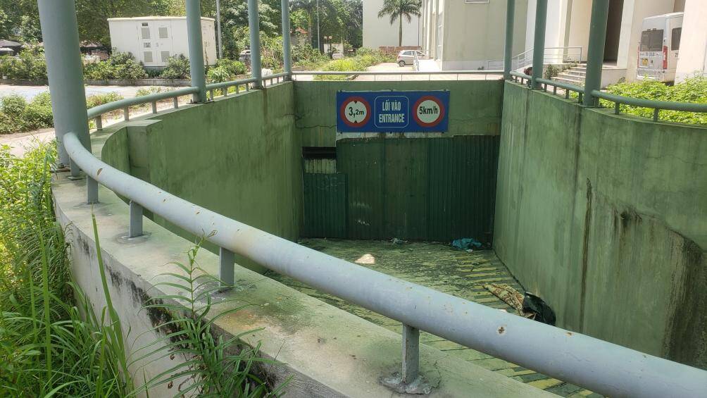 Tại 5 t&ograve;a nh&agrave; n&agrave;y, hầu như cỏ mọc ở khắp nơi. Lối xuống c&aacute;c hầm cũng được kh&oacute;a hoặc chặn bởi những tấm t&ocirc;n