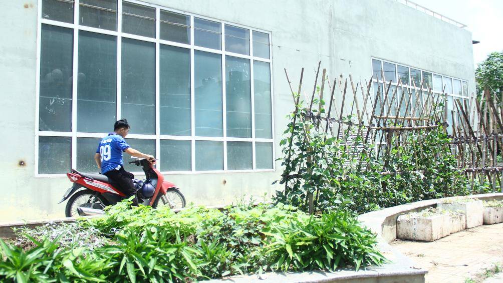 Khu vực vốn được quy hoạch l&agrave; bồn hoa th&igrave; nay lại được người d&acirc;n khu vực xung quanh tận dụng để trồng rau