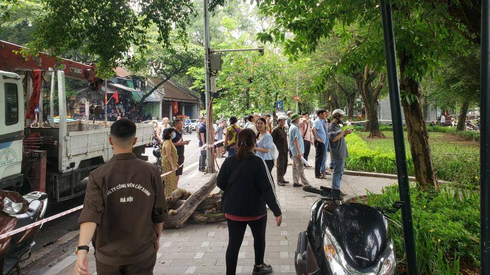 Một số người d&acirc;n hiếu kỳ cũng tập trung để quan s&aacute;t, theo d&otilde;i qu&aacute; tr&igrave;nh chặt hạ c&acirc;y sưa.