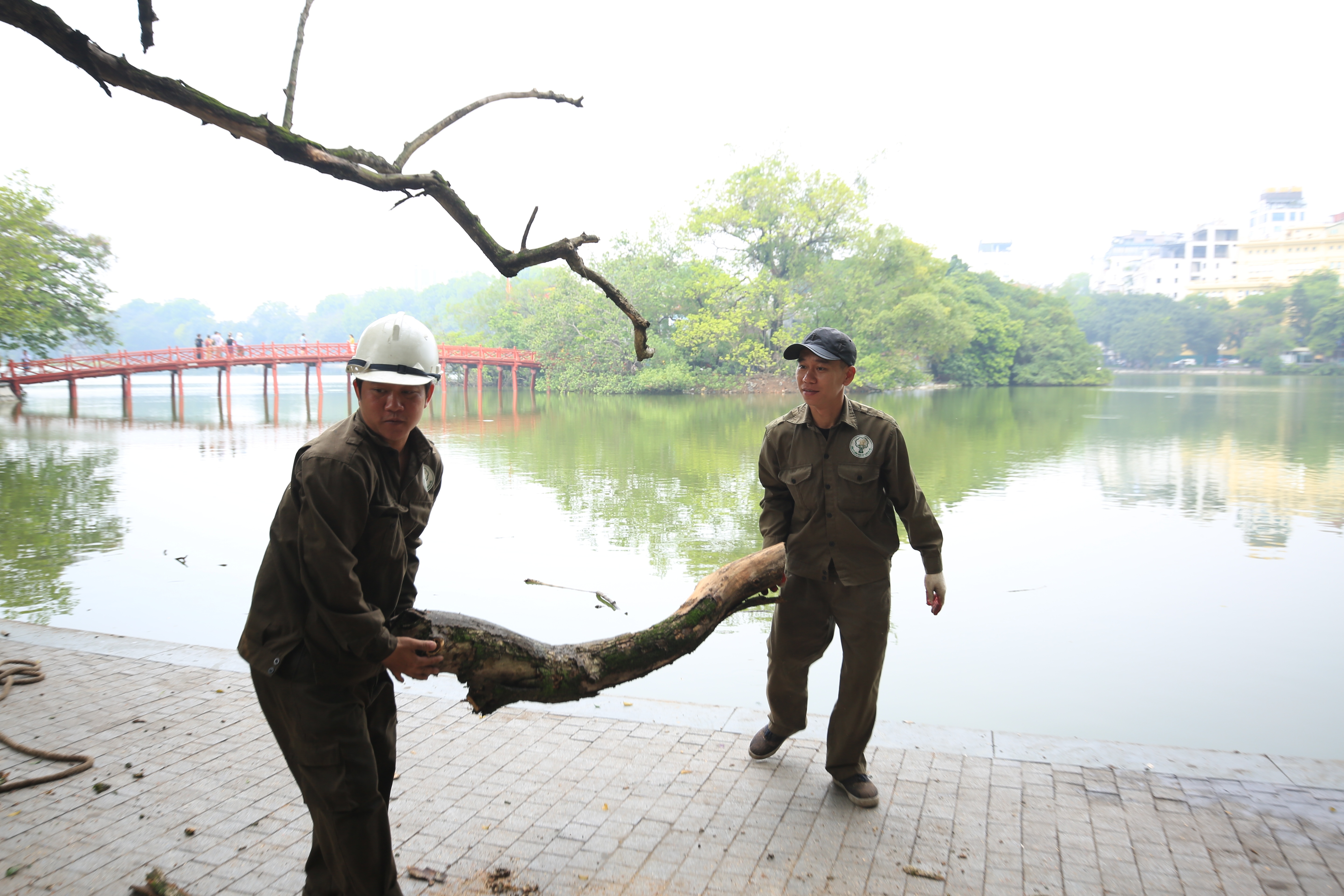 "Ng&agrave;y mai th&igrave; ph&iacute;a C&ocirc;ng ty sẽ tiến h&agrave;nh chặt hạ 2 c&acirc;y c&ograve;n lại do h&ocirc;m nay tập trung chặt hạ c&acirc;y ở đ&acirc;y", &ocirc;ng Quỳnh cho biết th&ecirc;m.