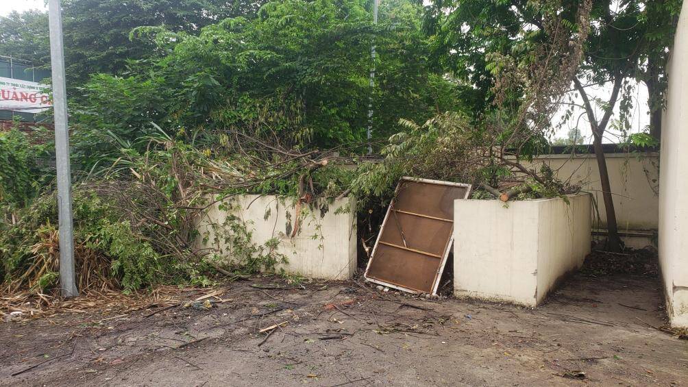 Khung cảnh nhếch nh&aacute;c ở trong khu&ocirc;n vi&ecirc;n chợ.