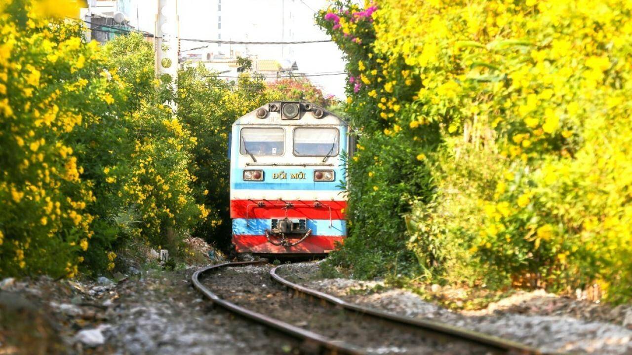 Đường sắt ph&aacute;t động phong tr&agrave;o h&igrave;nh th&agrave;nh đường hoa d&agrave;i nhất Việt Nam