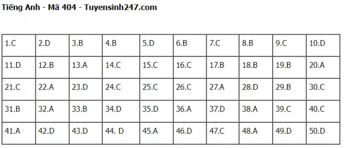 Đ&aacute;p &aacute;n đề thi m&ocirc;n Tiếng Anh THPT Quốc gia 2023 Full m&atilde; đề- Ảnh 4.