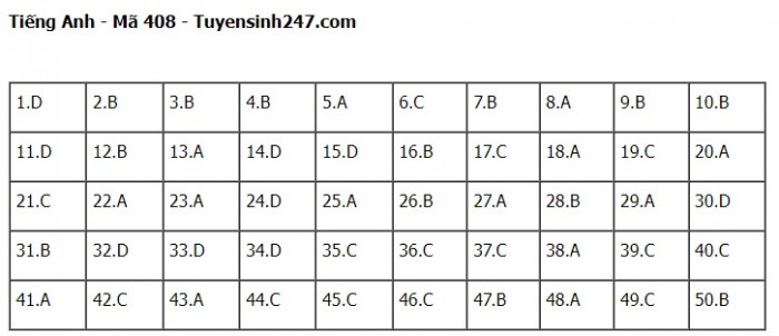 Đ&aacute;p &aacute;n đề thi m&ocirc;n Tiếng Anh THPT Quốc gia 2023 Full m&atilde; đề- Ảnh 8.