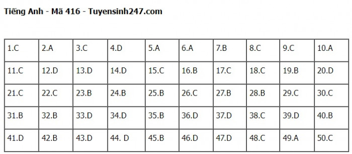 Đ&aacute;p &aacute;n đề thi m&ocirc;n Tiếng Anh THPT Quốc gia 2023 Full m&atilde; đề- Ảnh 16.