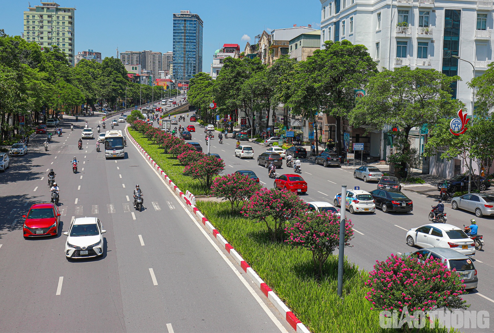 Những ng&agrave;y đầu th&aacute;ng 7, nhiều người đi qua trục đường Nguyễn Ch&iacute; Thanh - Trần Duy Hưng (H&agrave; Nội) kh&ocirc;ng khỏi ngỡ ng&agrave;ng trước h&agrave;ng c&acirc;y tường vi được trồng tr&ecirc;n dải ph&acirc;n c&aacute;ch đang nở hoa rực rỡ.