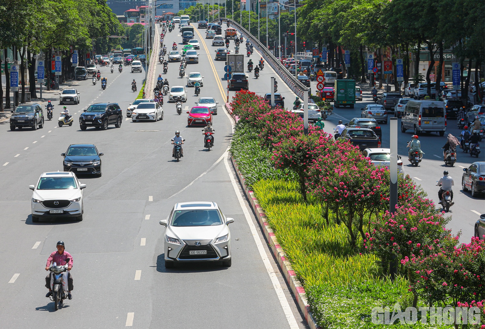 Trước đ&acirc;y, cả hai tuyến đường n&agrave;y được trồng ba tầng c&acirc;y xanh. Tr&ecirc;n c&ugrave;ng l&agrave; c&acirc;y phong l&aacute; đỏ, ở giữa l&agrave; tường vi c&aacute;nh mỏng m&agrave;u hồng v&agrave; dưới c&ugrave;ng l&agrave; nhiều lo&agrave;i hoa kh&aacute;c.