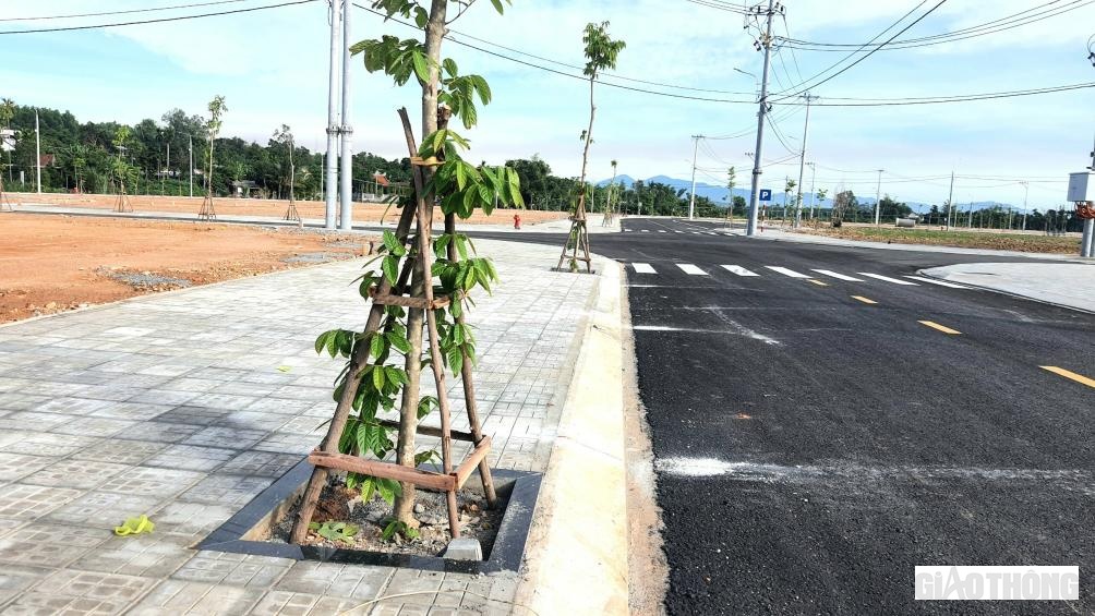 Hệ thống c&acirc;y xanh được trồng, chăm s&oacute;c tốt ở c&aacute;c khu TĐC để đ&aacute;p ứng nơi ở mới cho hơn 1.000 hộ d&acirc;n với tổng 2.000 l&ocirc; đất bố tr&iacute; TĐC.