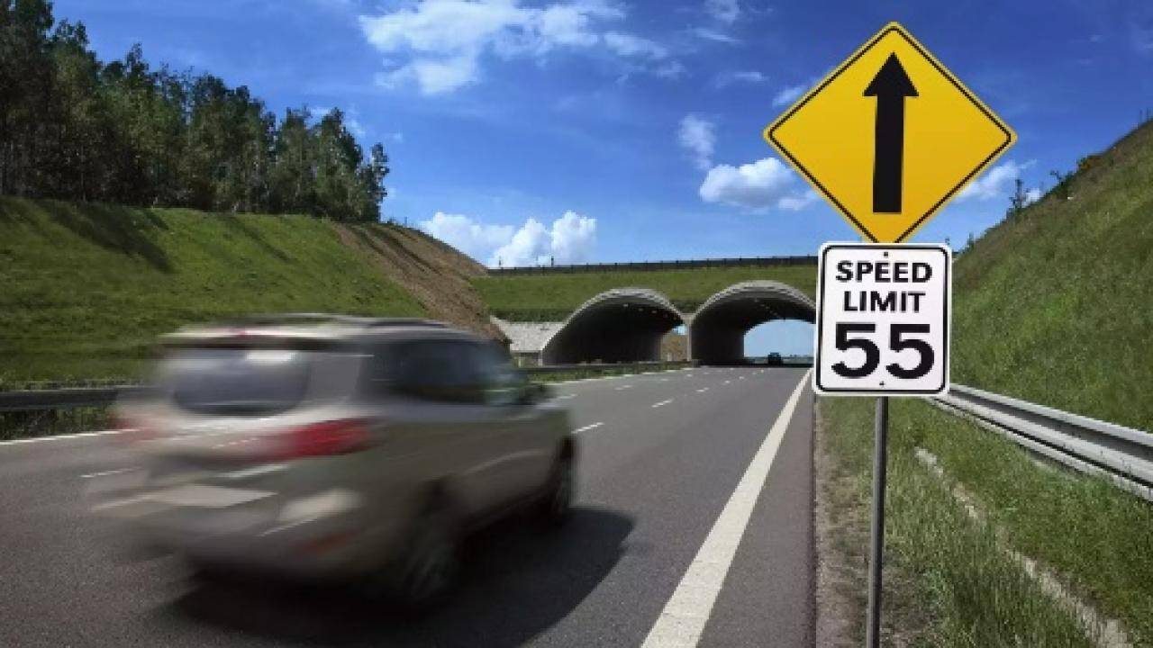 &Aacute;o sẽ tịch thu, b&aacute;n đấu gi&aacute; xe chạy qu&aacute; tốc độ quy định