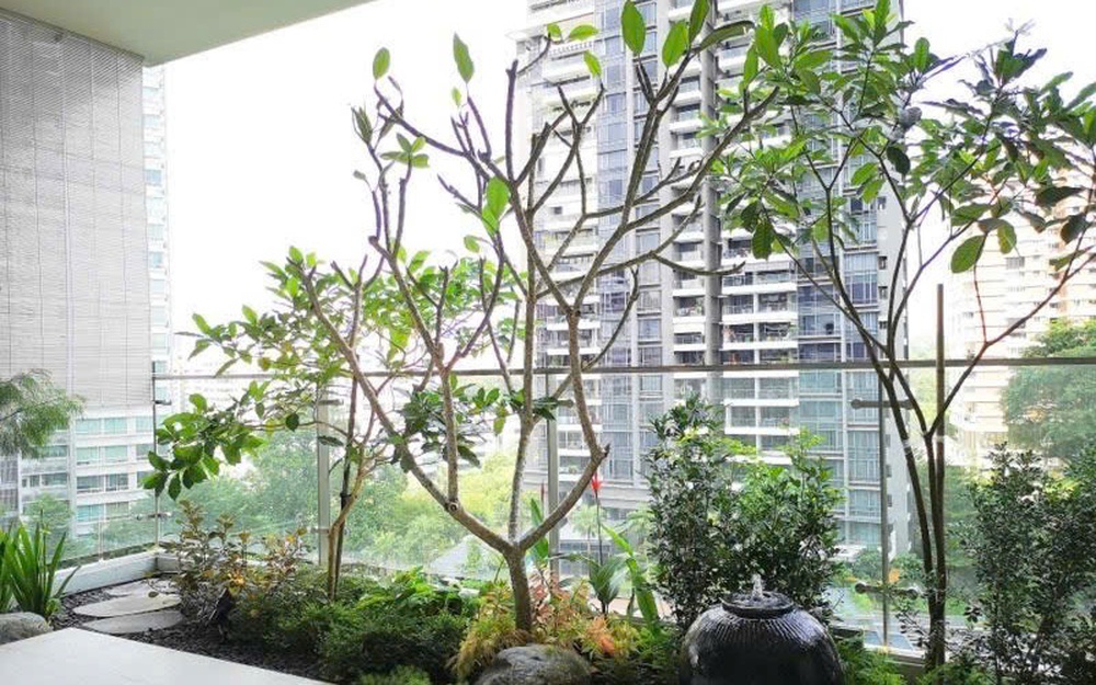 Tìm lời giải cho bài toán không gian xanh gắn với căn hộ trong “đô thị nén”