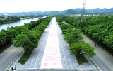 Ninh Bình: Ưu tiên hạ tầng giao thông chiến lược, mở rộng không gian phát triển