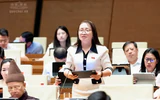 ĐBQH: Không thể để quy hoạch kéo dài vô thời hạn khiến dân bị hạn chế quyền sử dụng đất