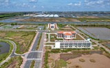 Gỡ vướng cho Khu nông nghiệp ứng dụng công nghệ cao phát triển tôm Bạc Liêu
