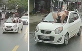 Hà Nội: Khởi tố bố vợ và con rể vụ "ngồi trên kính chắn gió để đòi ô tô'' ở Quảng Oai