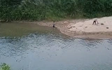 Đắk Lắk: 4 học sinh đuối nước thương tâm, đã tìm thấy 3 thi thể