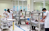 Gia tăng trẻ nhập viện do chó, mèo cắn