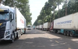 Đồng Nai: Hàng trăm xe container đổ về Dầu Giây lấy mẫu sầu riêng, giao thông quá tải