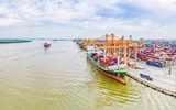 Hai cảng biển Việt Nam vào top đầu thế giới, vượt nhiều "ông lớn" hàng hải