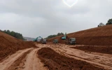 Gia Lai: Giao 65 xã, phường thí điểm cấp phép khai thác cát xây dựng, đất san lấp