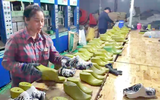 TP.HCM: Bắt giam giám đốc sản xuất gần 10.000 đôi dép giả nhãn hiệu Crocs