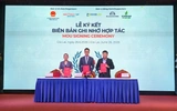Gia Lai chú trọng thu hút nhà đầu tư chất lượng, dự án công nghệ cao