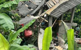 Tai nạn giao thông 13/7: Xe đầu kéo tông sập nhà dân khi đổ đèo, tài xế tử vong