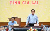 Gia Lai: Có thể đình chỉ doanh nghiệp vận tải vi phạm để chấn chỉnh văn hóa giao thông