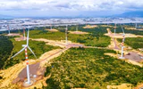 Nhà máy điện gió 1.600 tỷ đồng ở Gia Lai đã chọn được nhà đầu tư