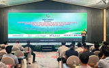 Phát triển ngành gốm sứ theo hướng tiết kiệm năng lượng, giảm phát thải carbon