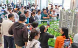 Sở hữu nhà không còn là cuộc đua “bằng mọi giá”