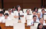 ĐBQH đề nghị làm rõ phạm vi cấm và sử dụng hợp pháp đối với khí N₂O
