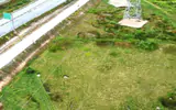 Sau phản ánh của Báo Xây dựng: Gần 1ha đất lúa bỏ hoang ở Tân Châu đã có hướng xử lý