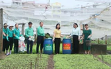 Hà Nội thúc đẩy nông nghiệp xanh, nâng tầm giá trị nông sản