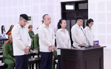 Vụ doanh nghiệp lừa đảo nghìn tỷ ở Đà Nẵng: Dàn lãnh đạo GFDI lĩnh án chung thân