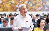 ĐBQH: Cần thận trọng khi mở rộng quyền sử dụng biển cho tổ chức, cá nhân