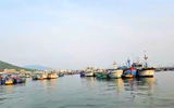 Gần 2 năm nay, Khánh Hòa không có tàu cá vi phạm khai thác ở vùng biển nước ngoài
