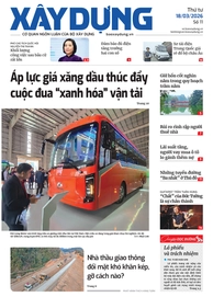 Số 11/2026