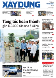 Số 19/2026