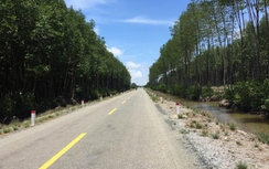 Băng sông, vượt rừng “kéo” đường ra Đất Mũi