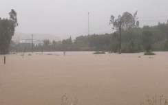 Quảng Ngãi mưa lớn kéo dài khiến nhiều nơi bị ngập, giao thông chia cắt