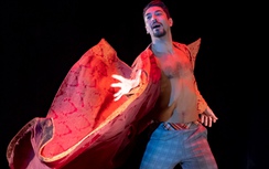 Mãn nhãn với lần trở lại của vở ballet kinh điển "Người thợ cạo thành Seville"