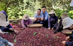 Chiêu “bán lược cho sư” của ông chủ cà phê nông sản