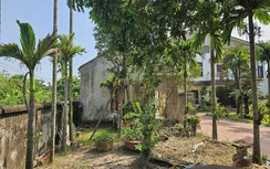 Day dứt sau phiên xử con chiếm nhà mẹ già