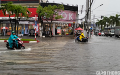 Mưa lớn kết hợp triều cường dâng cao, Bạc Liêu ứng phó thế nào?