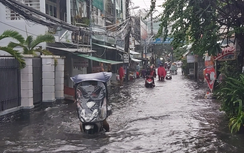 Mưa lớn và triều cường gây ngập nhiều khu vực ở TP Cà Mau